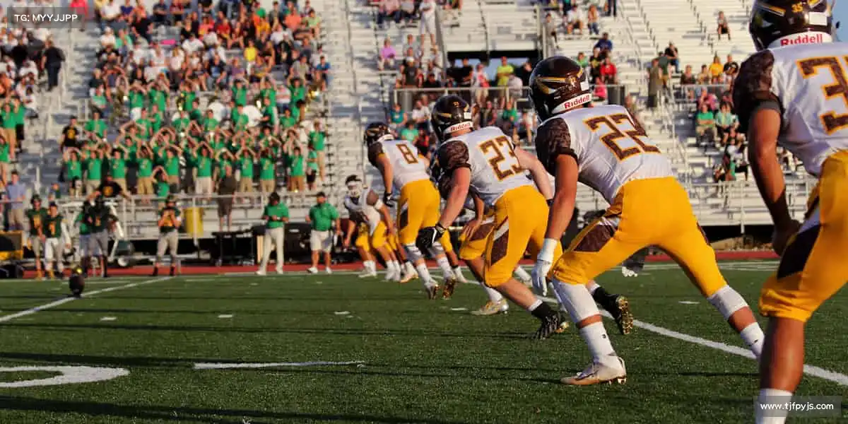 行业领先的理由